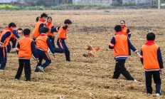 追光丨起猛了，新学期体育课上居然可以抓鸡？！